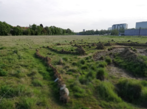 Créer une zone naturelle de 5 hectares sur le PAD Josaphat