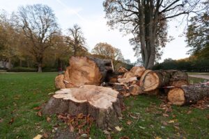 Friches : la Coalition «Guinness» sabote le débat parlementaire